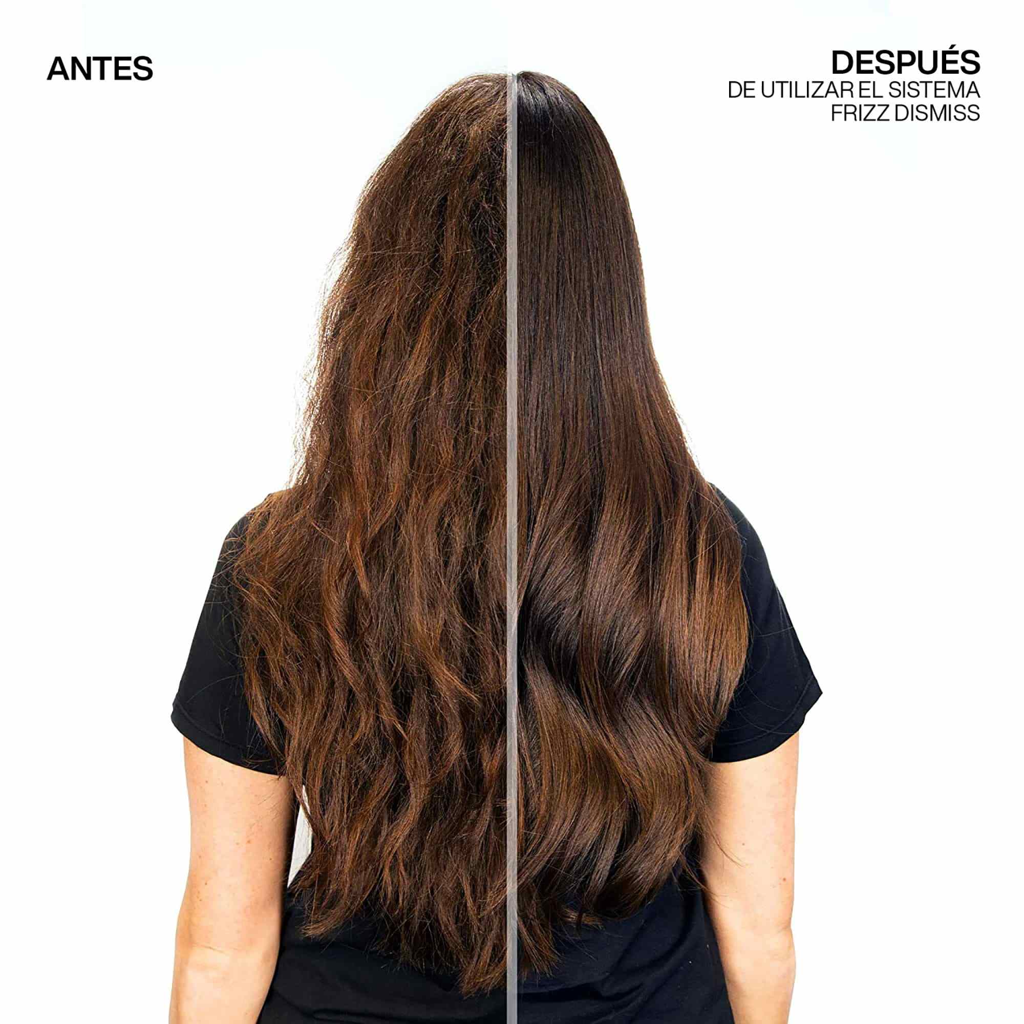 Mascarilla Frizz Dismiss ByRedken